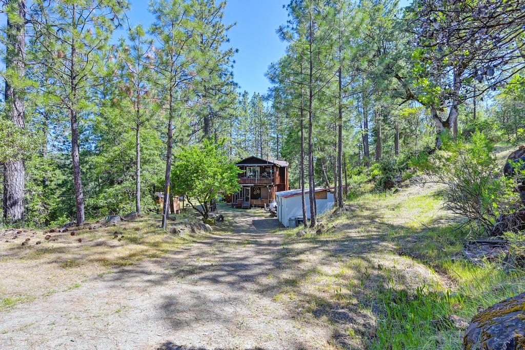 Grub Creek Drive, Rough and Ready, California image 50