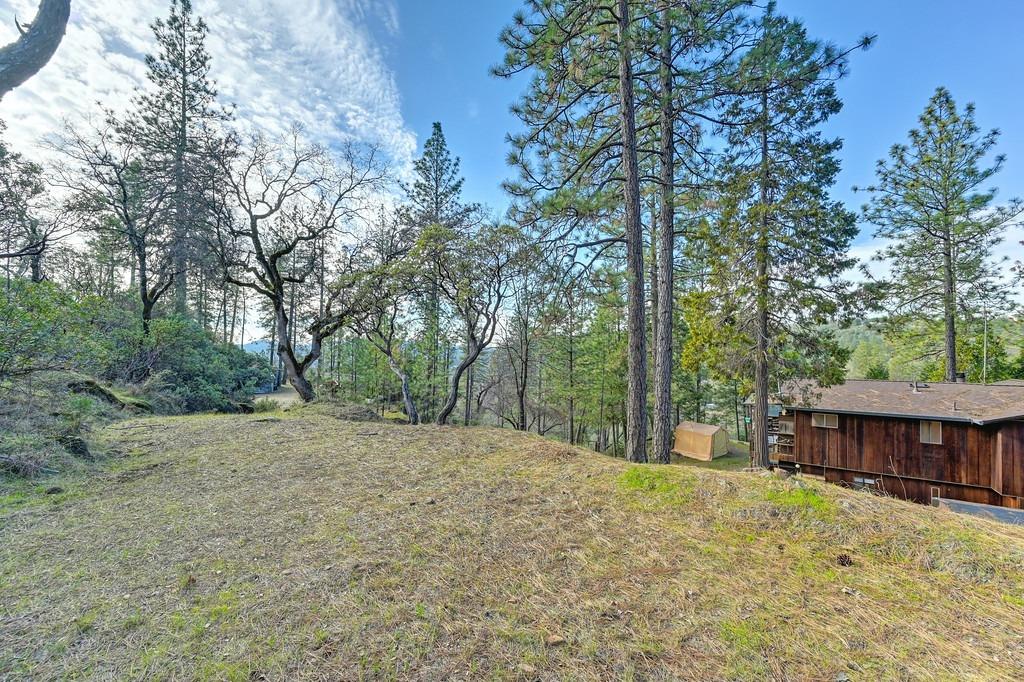 Grub Creek Drive, Rough and Ready, California image 46
