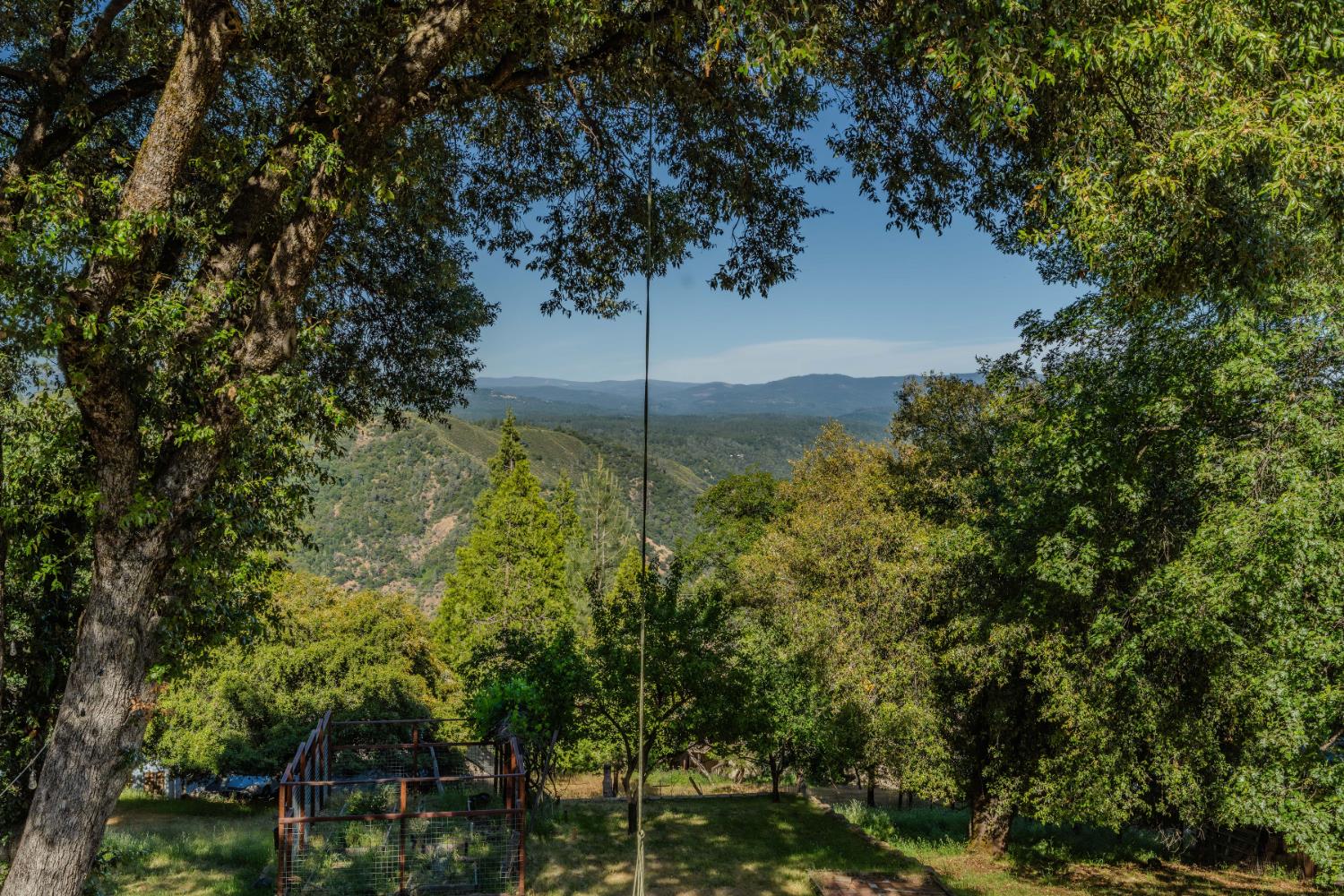 Quail Crt., Pine Grove, California image 36