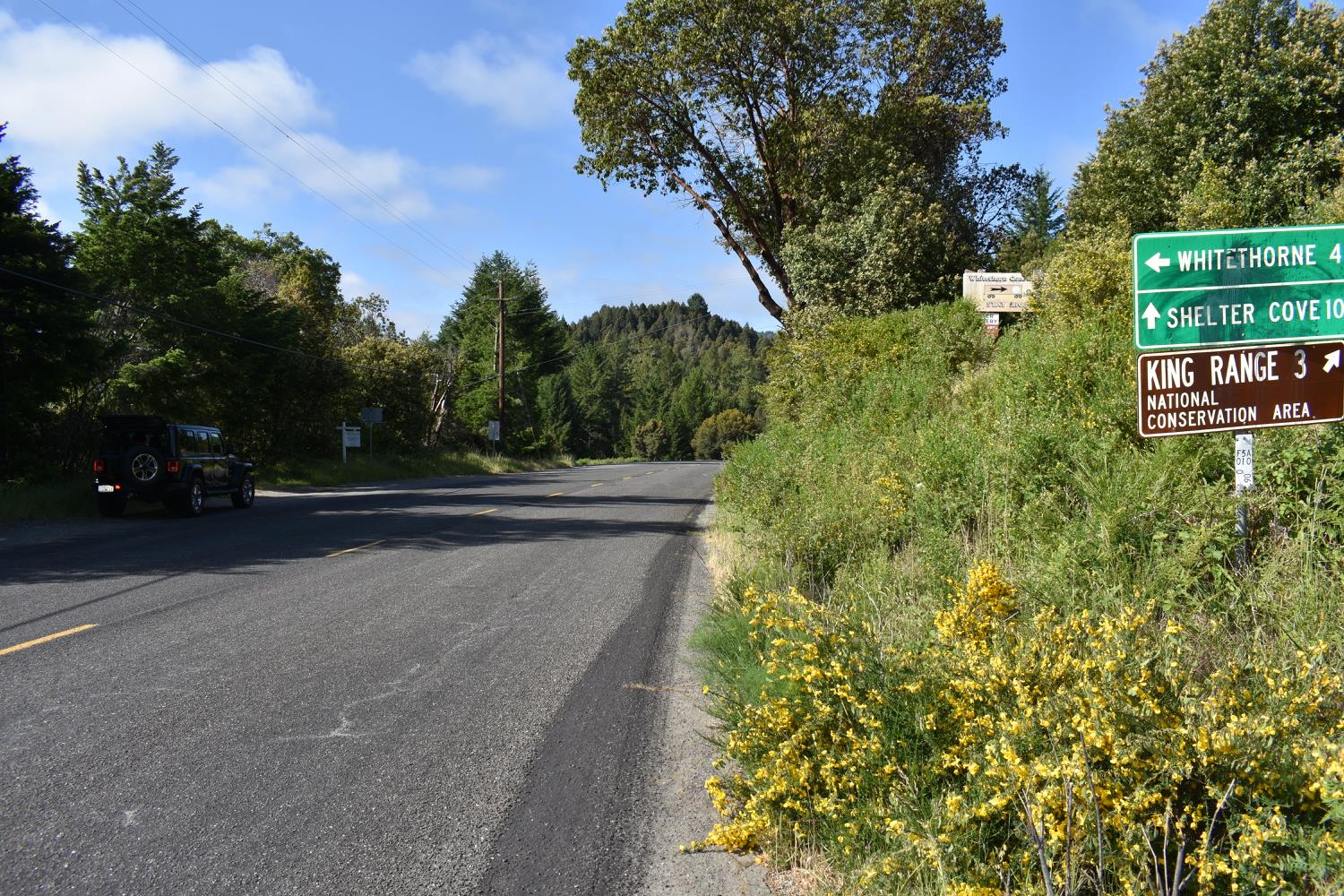SW Briceland Road, Whitethorn, California image 23
