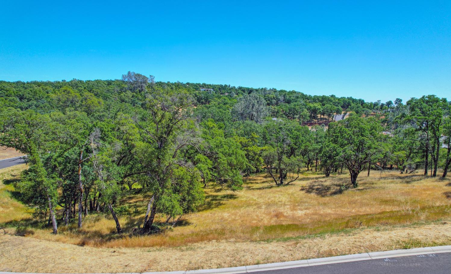 Western Sierra Way, El Dorado Hills, California image 5