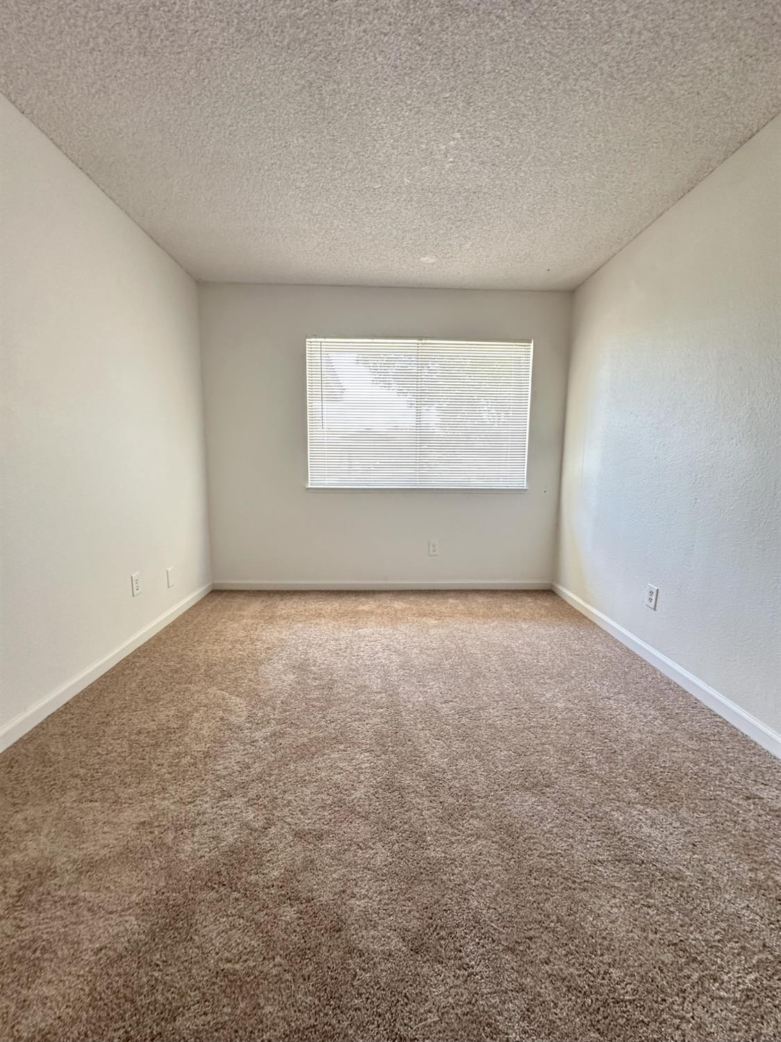 Galvez Avenue, Modesto, California image 13