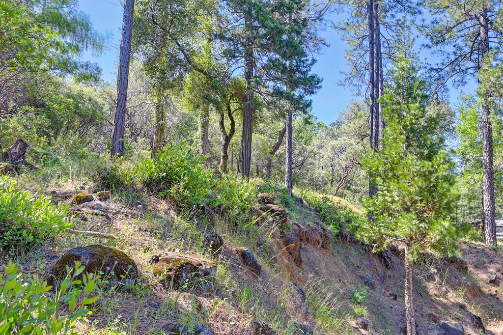 Grub Creek Drive, Rough and Ready, California image 48