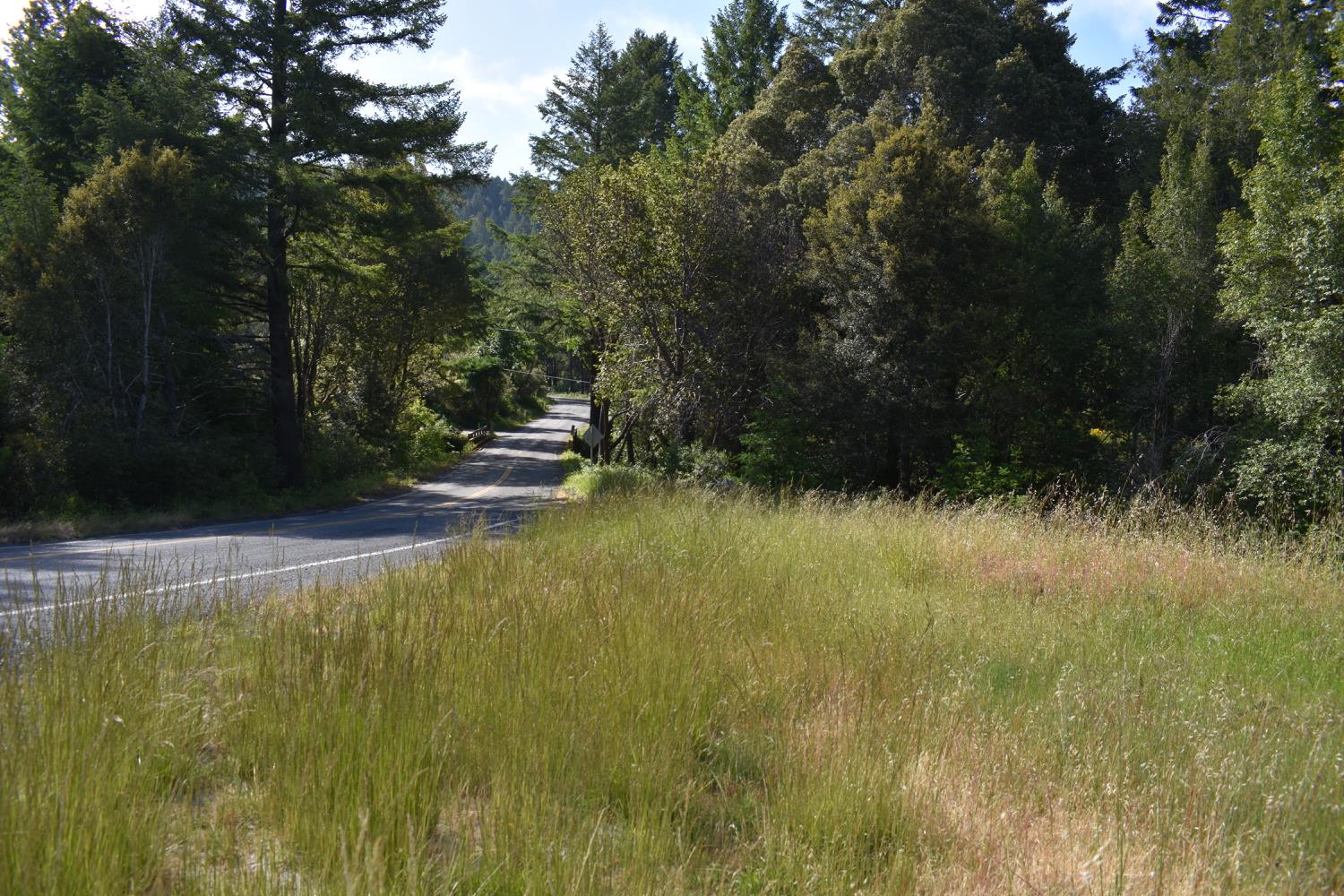 SW Briceland Road, Whitethorn, California image 17