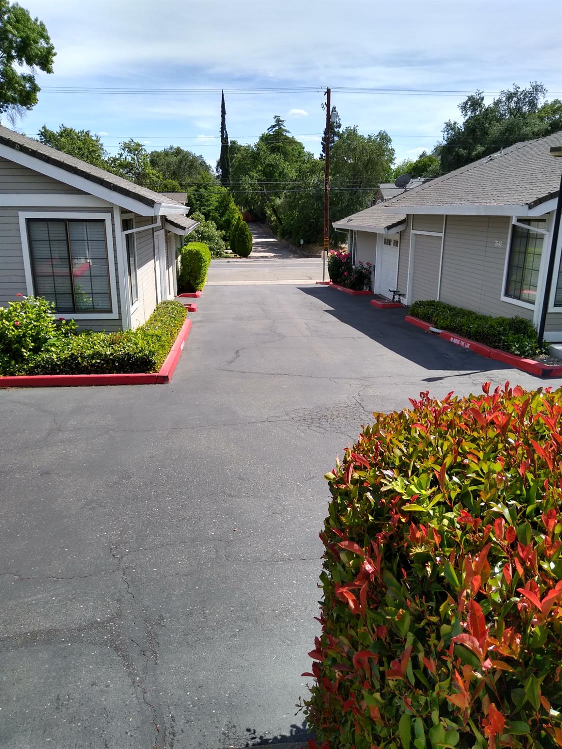 Sunset Avenue, Fair Oaks, California image 16