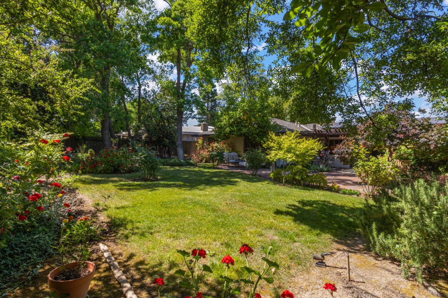 Breton Avenue, Davis, California image 31