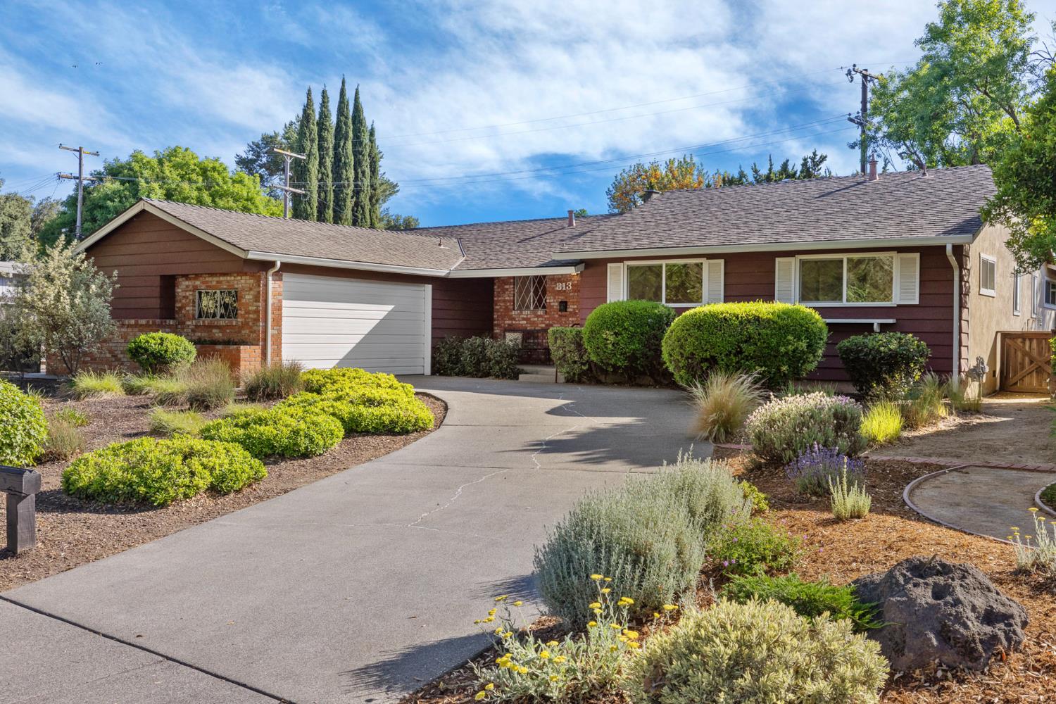 Sycamore Lane, Davis, California image 1