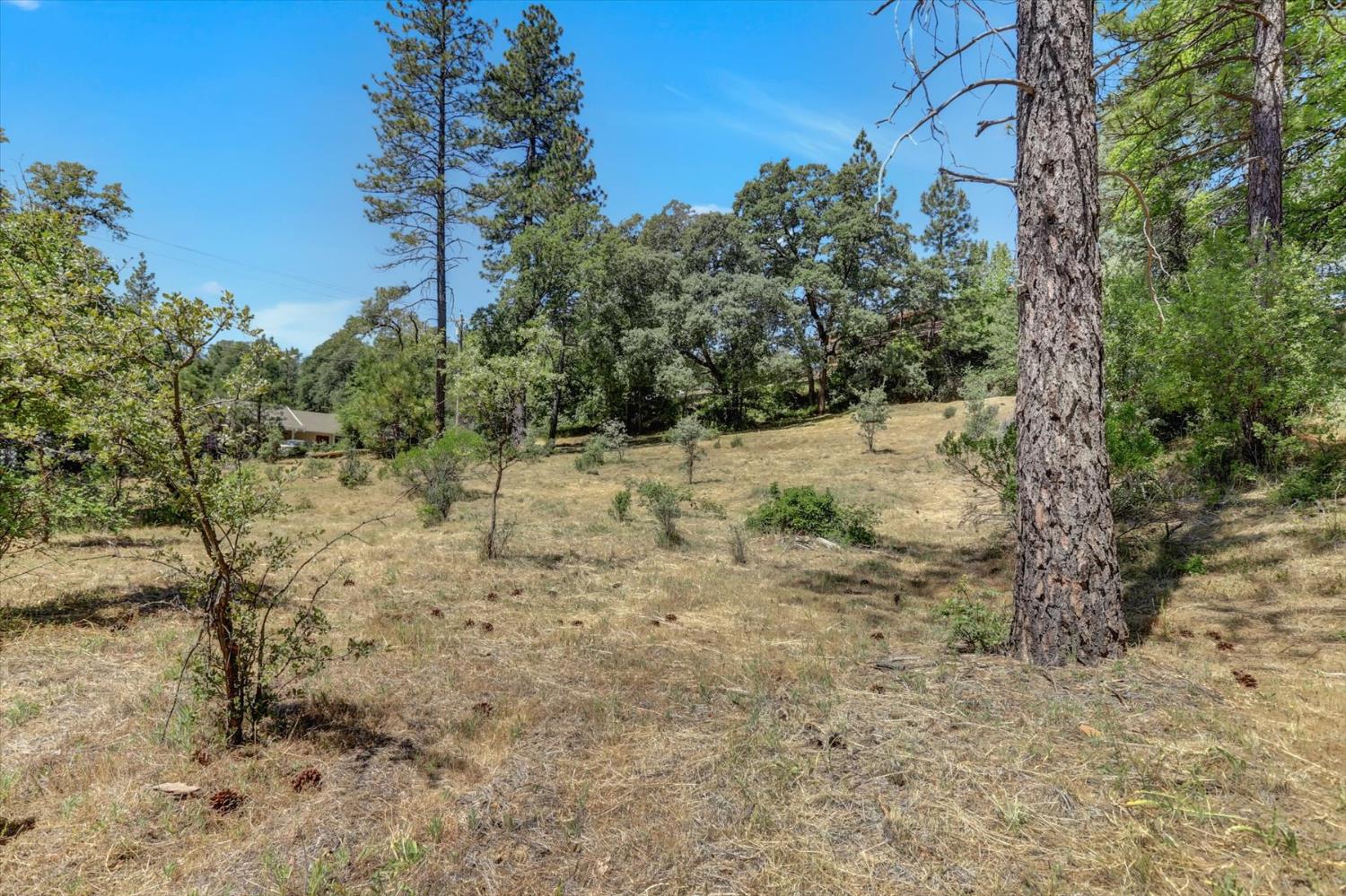 Alta Sierra Drive, Grass Valley, California image 38