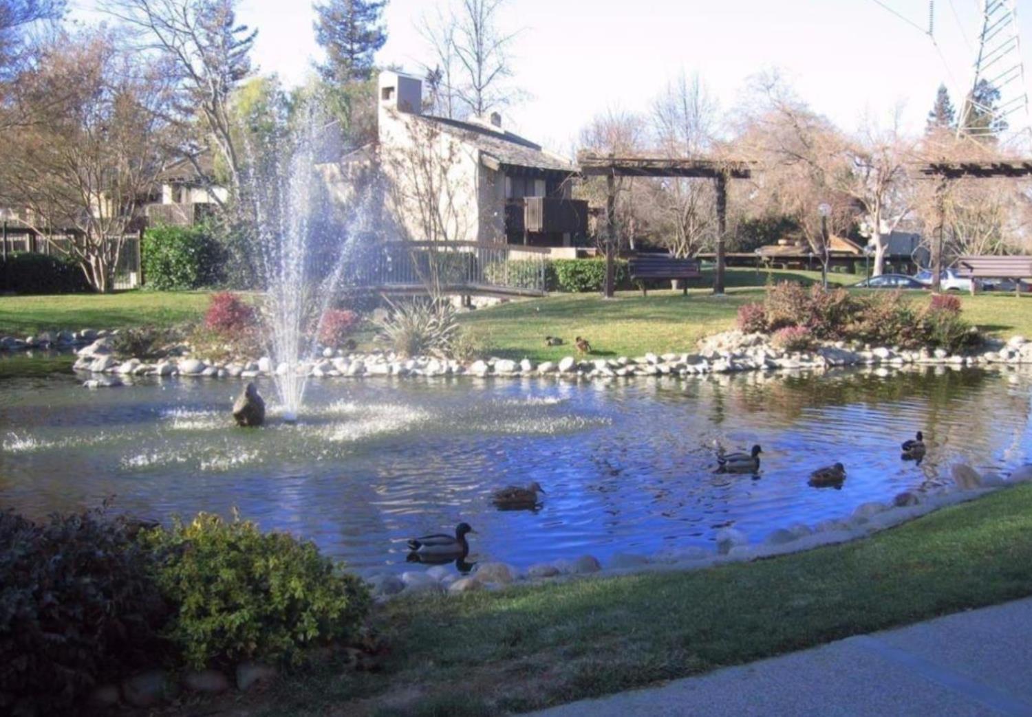 Photo #22: 225067808 Listing: Photo #22