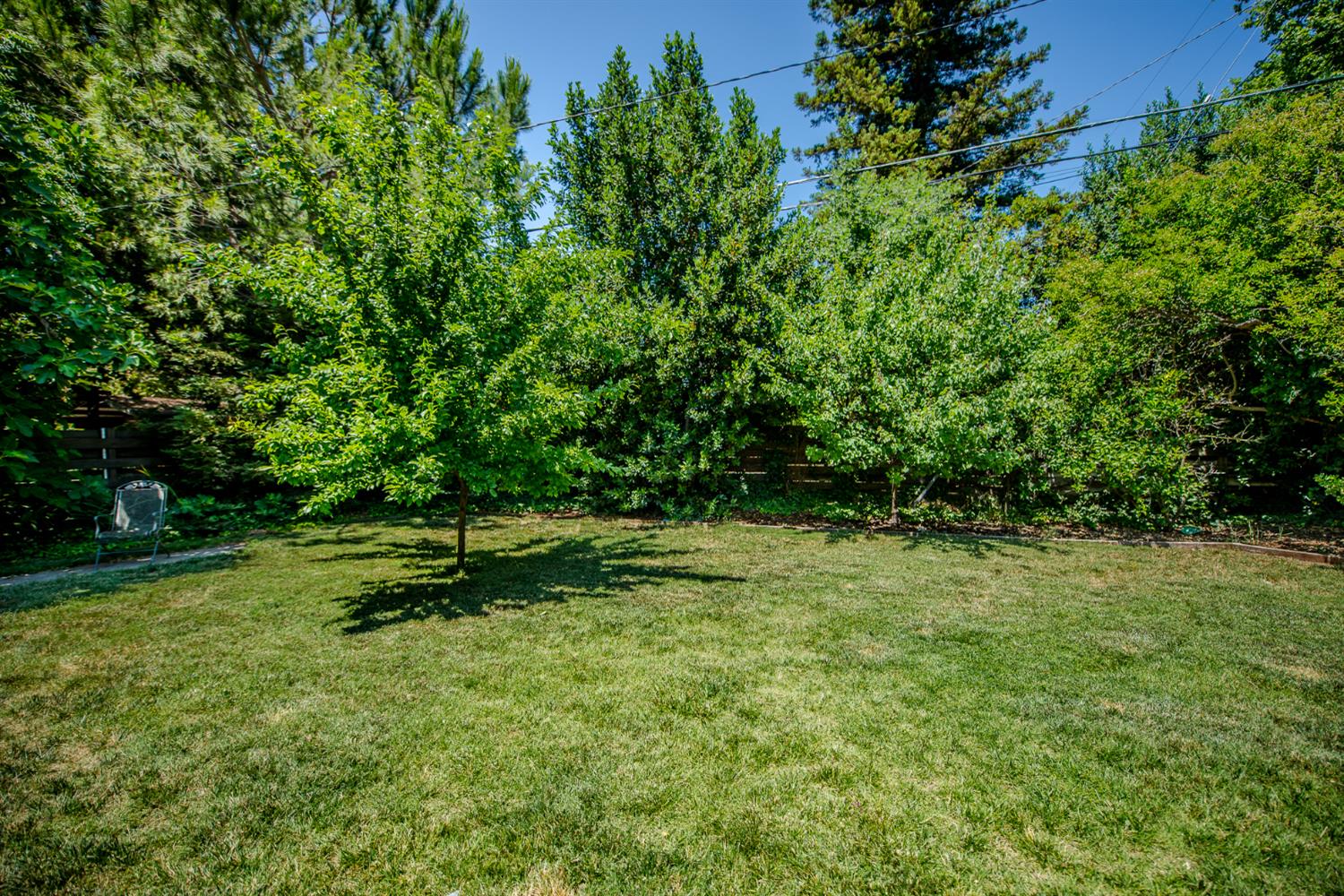 Casa Linda Drive, Woodland, California image 12