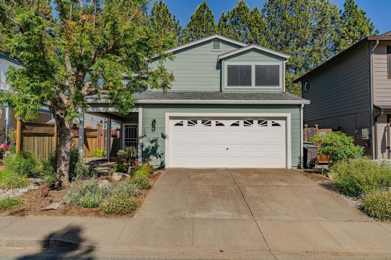Terrace View Circle, Jackson, California image 1