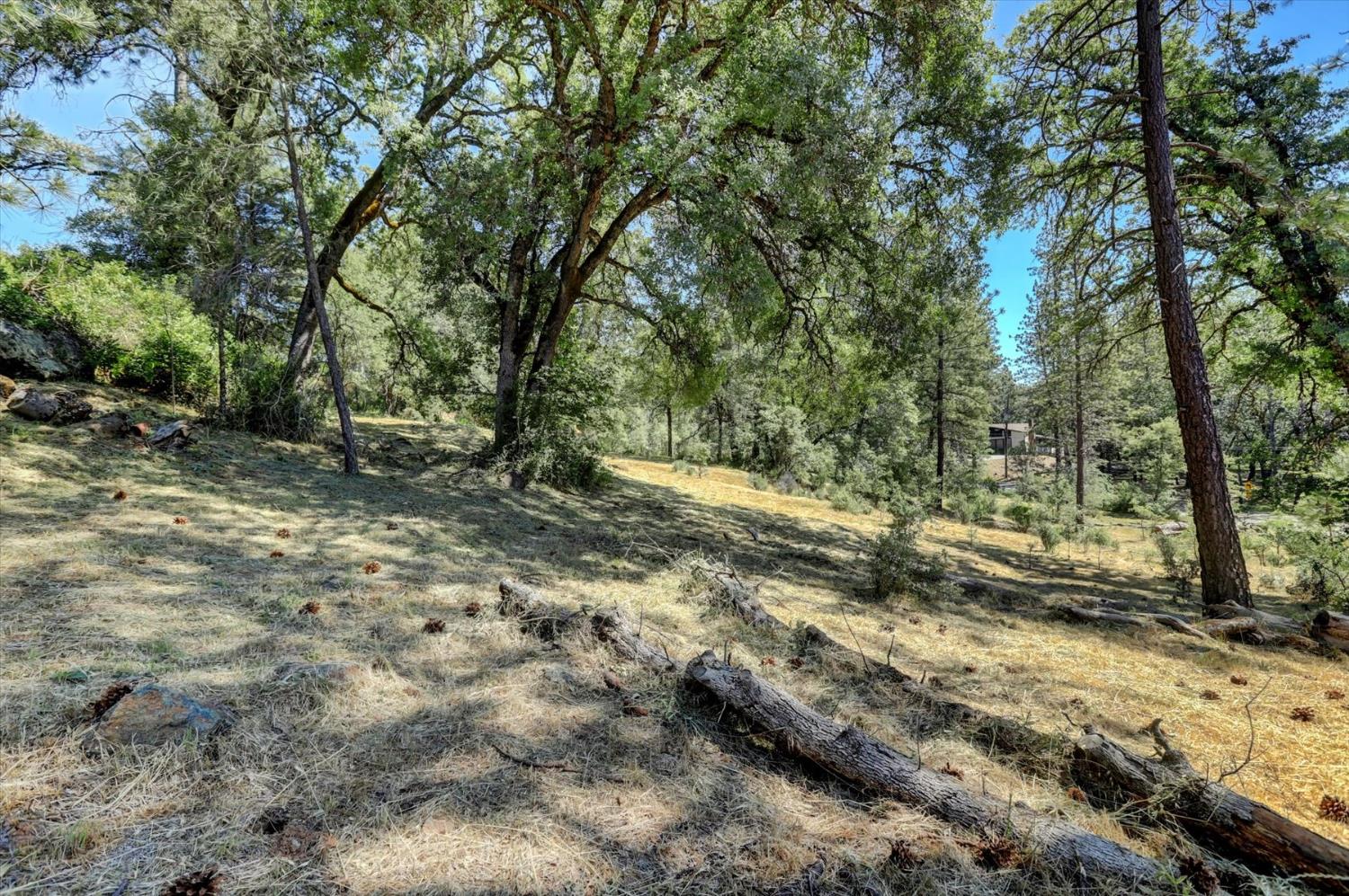 Alta Sierra Drive, Grass Valley, California image 14