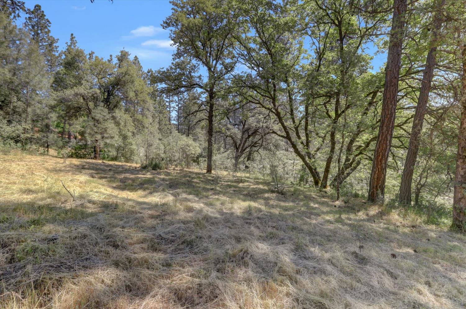 Alta Sierra Drive, Grass Valley, California image 26