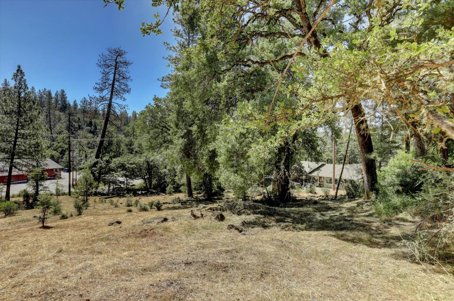 Alta Sierra Drive, Grass Valley, California image 13