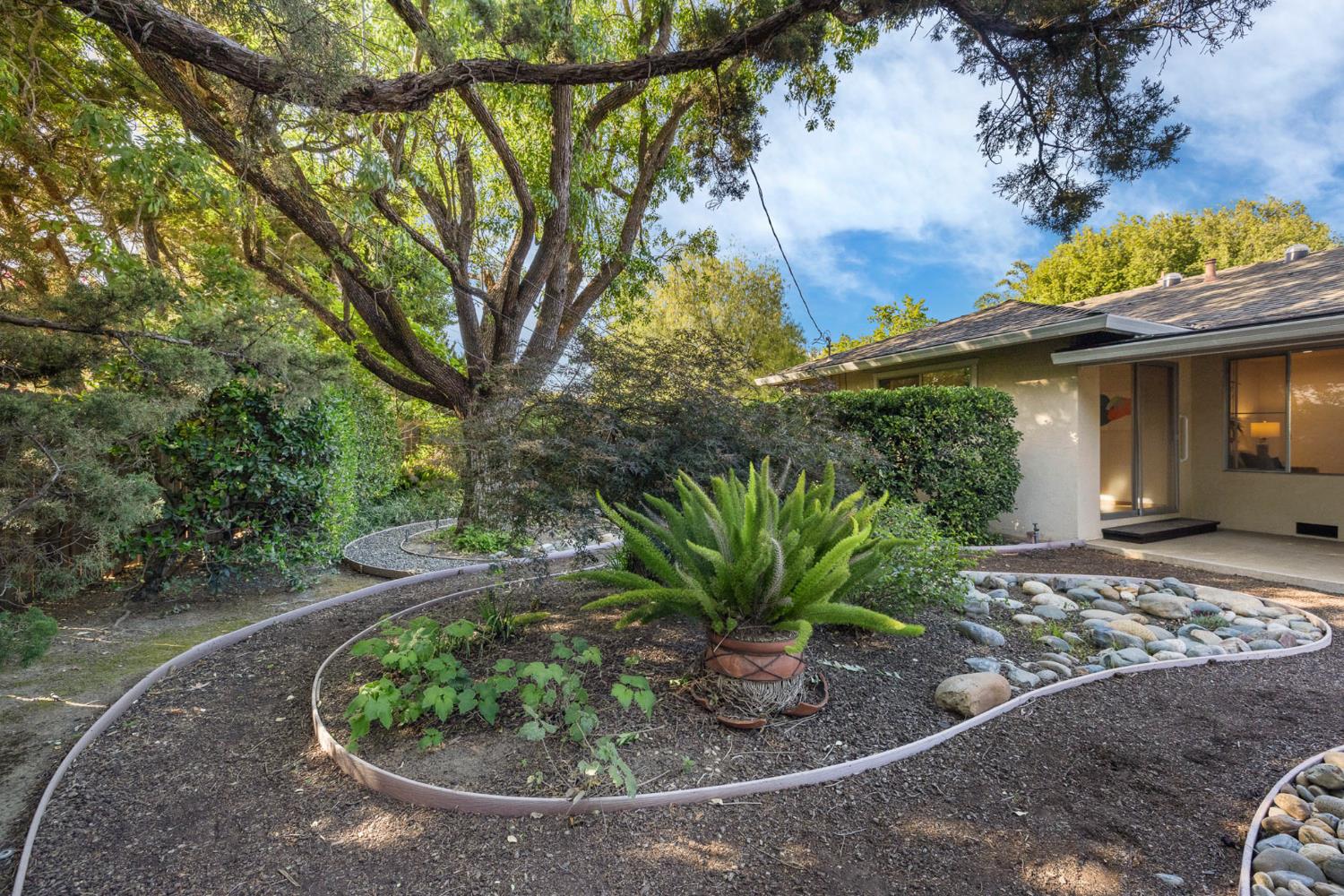 Sycamore Lane, Davis, California image 28