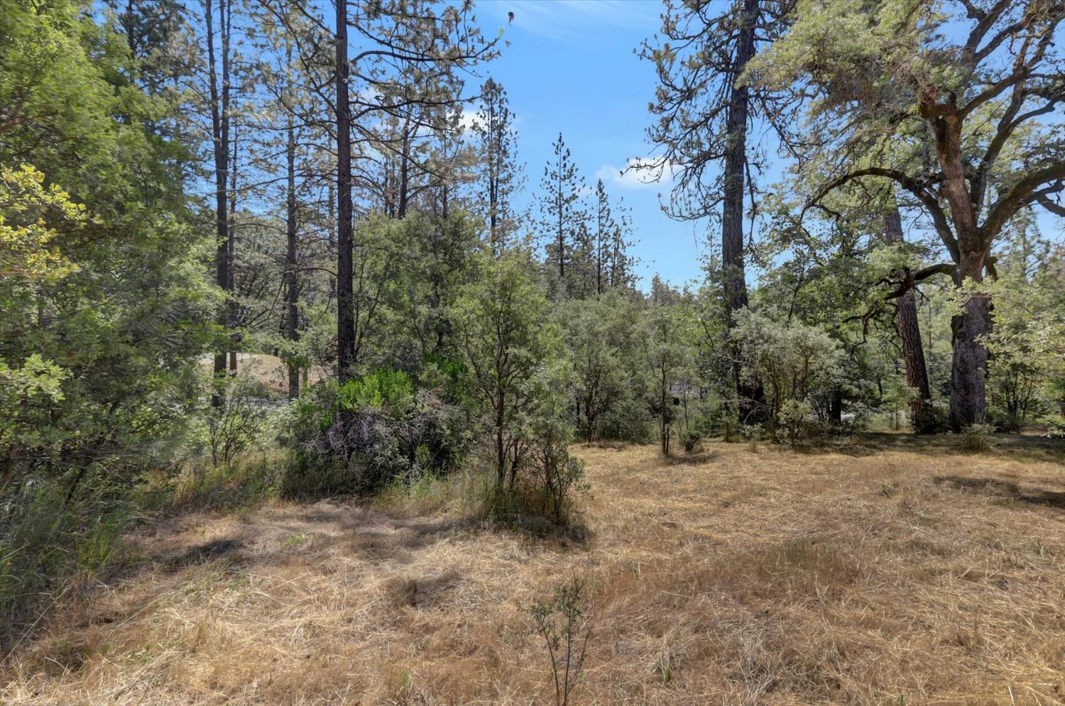 Alta Sierra Drive, Grass Valley, California image 41