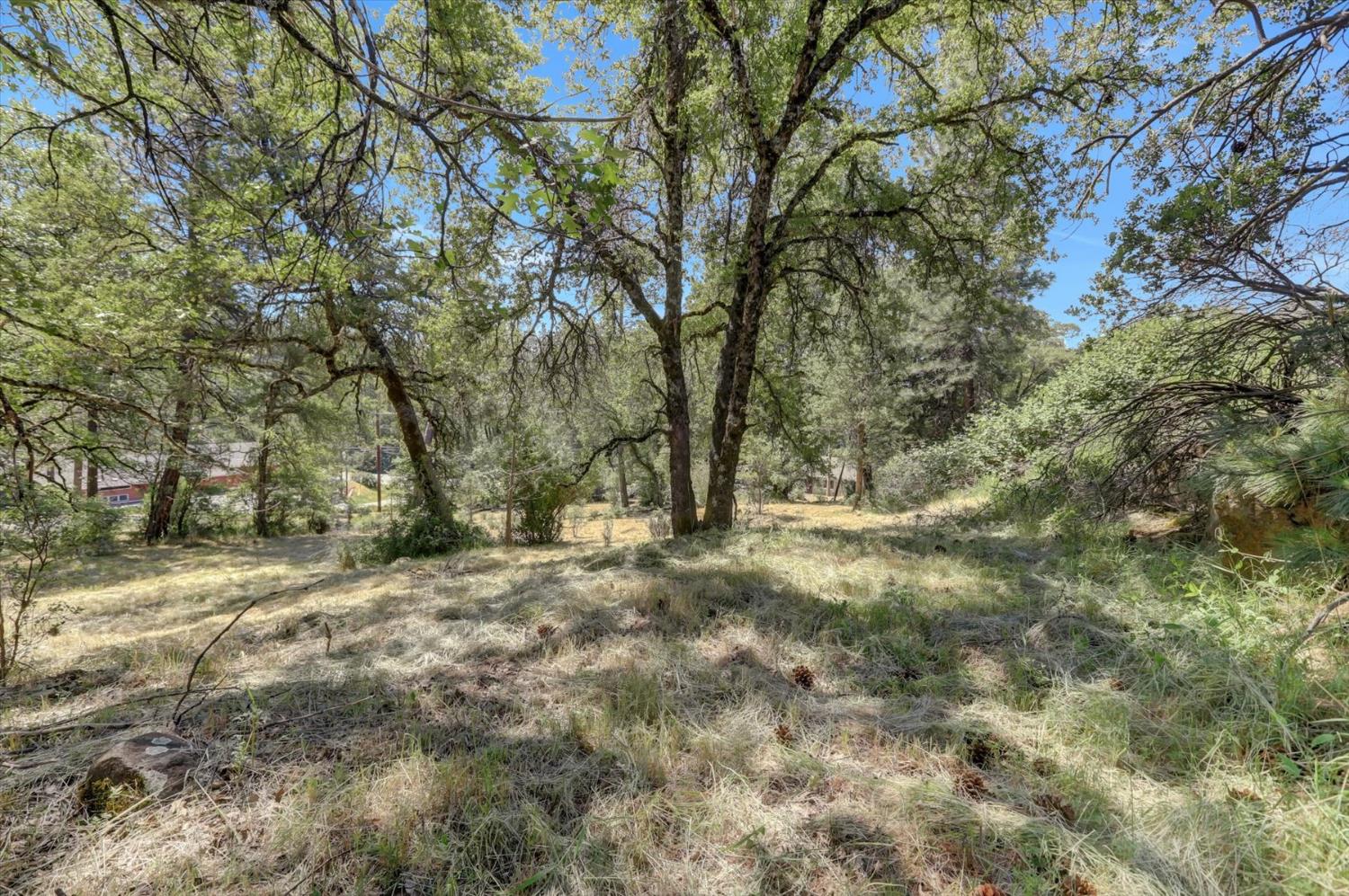 Alta Sierra Drive, Grass Valley, California image 22
