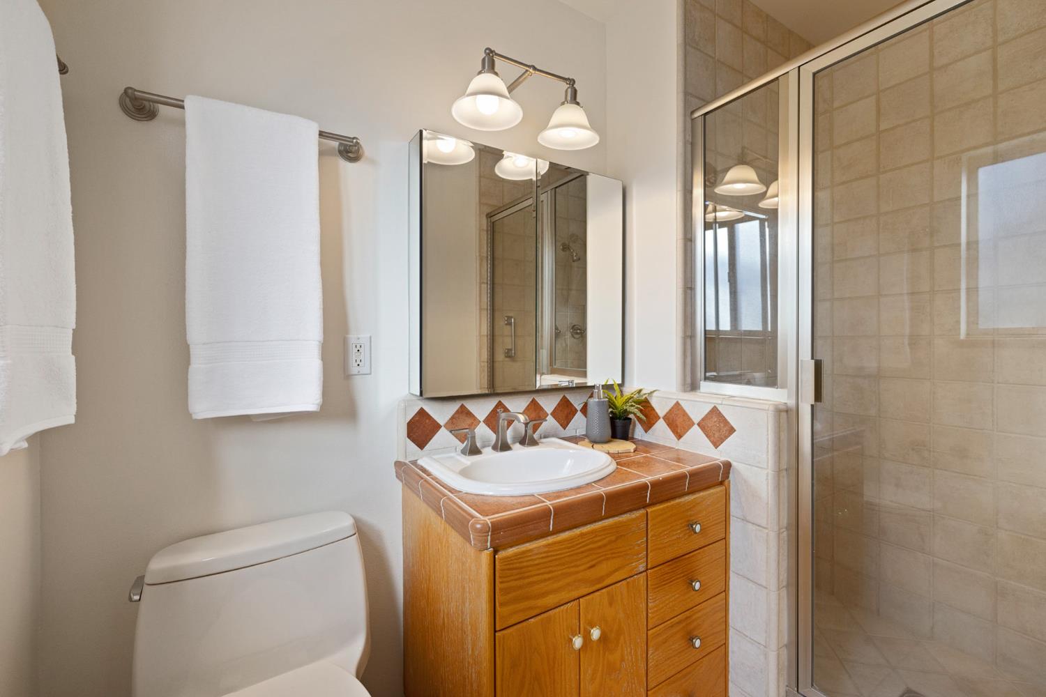 Sycamore Lane, Davis, California image 18
