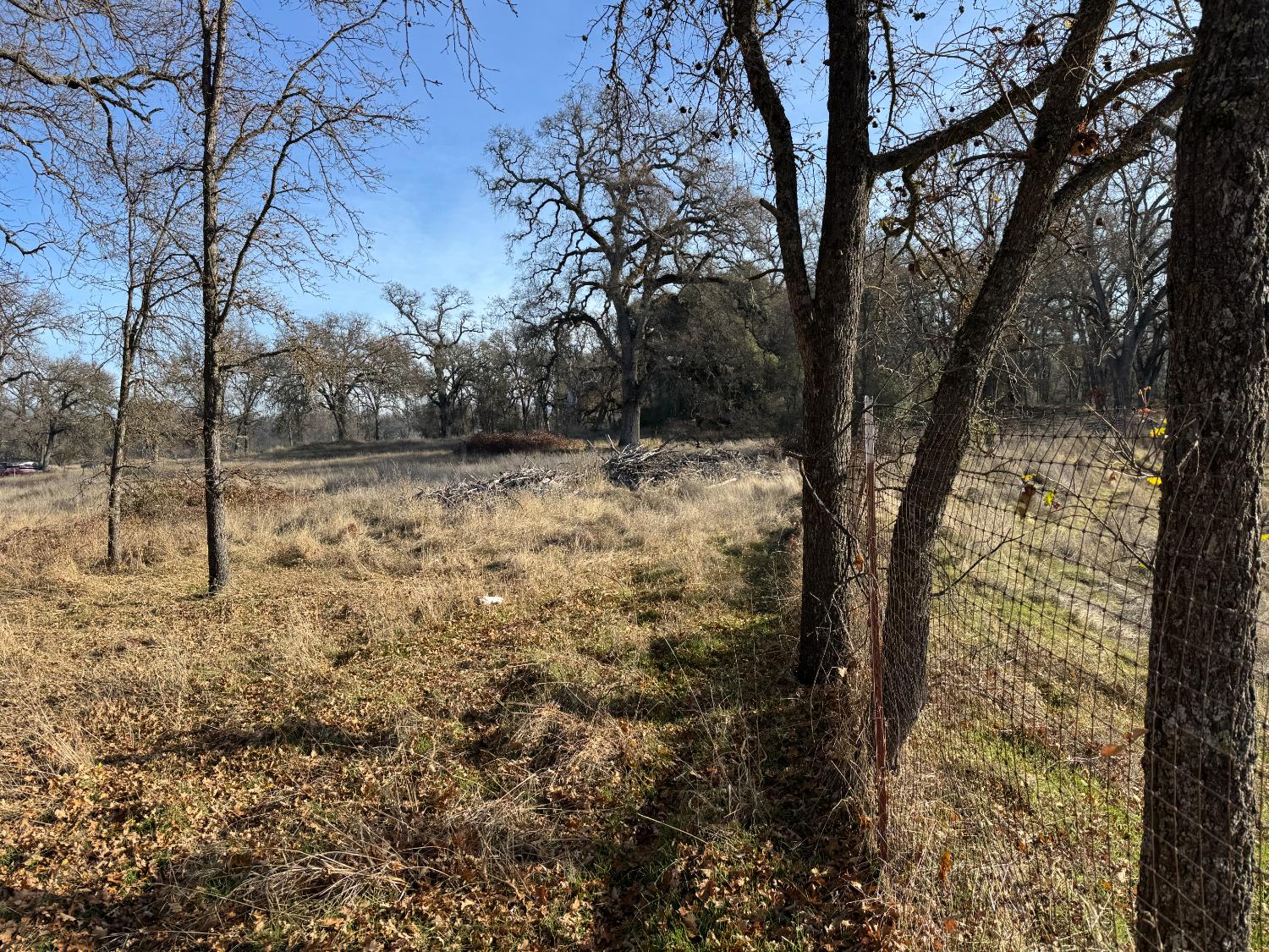 Carrie Ann Lane, Penn Valley, California image 36