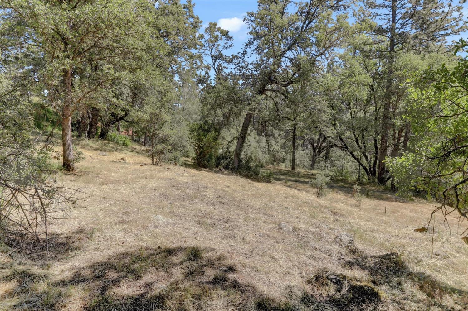 Alta Sierra Drive, Grass Valley, California image 18