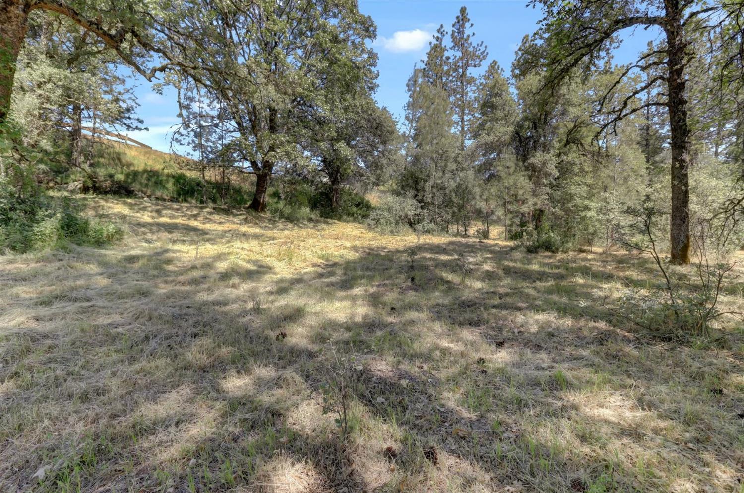 Alta Sierra Drive, Grass Valley, California image 19