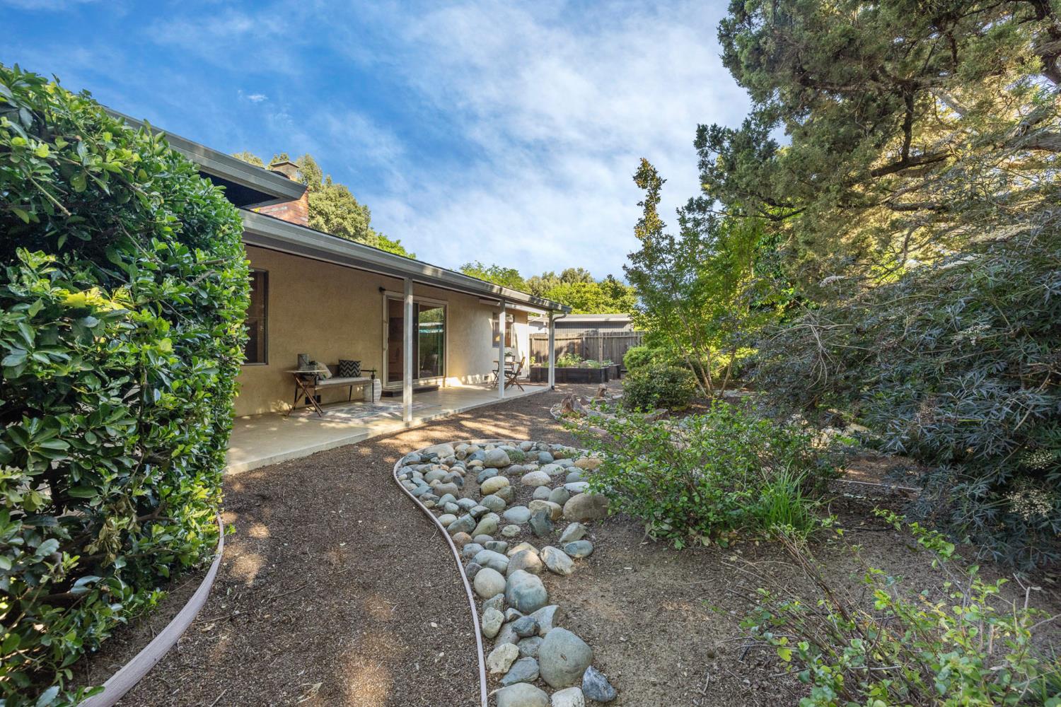 Sycamore Lane, Davis, California image 26