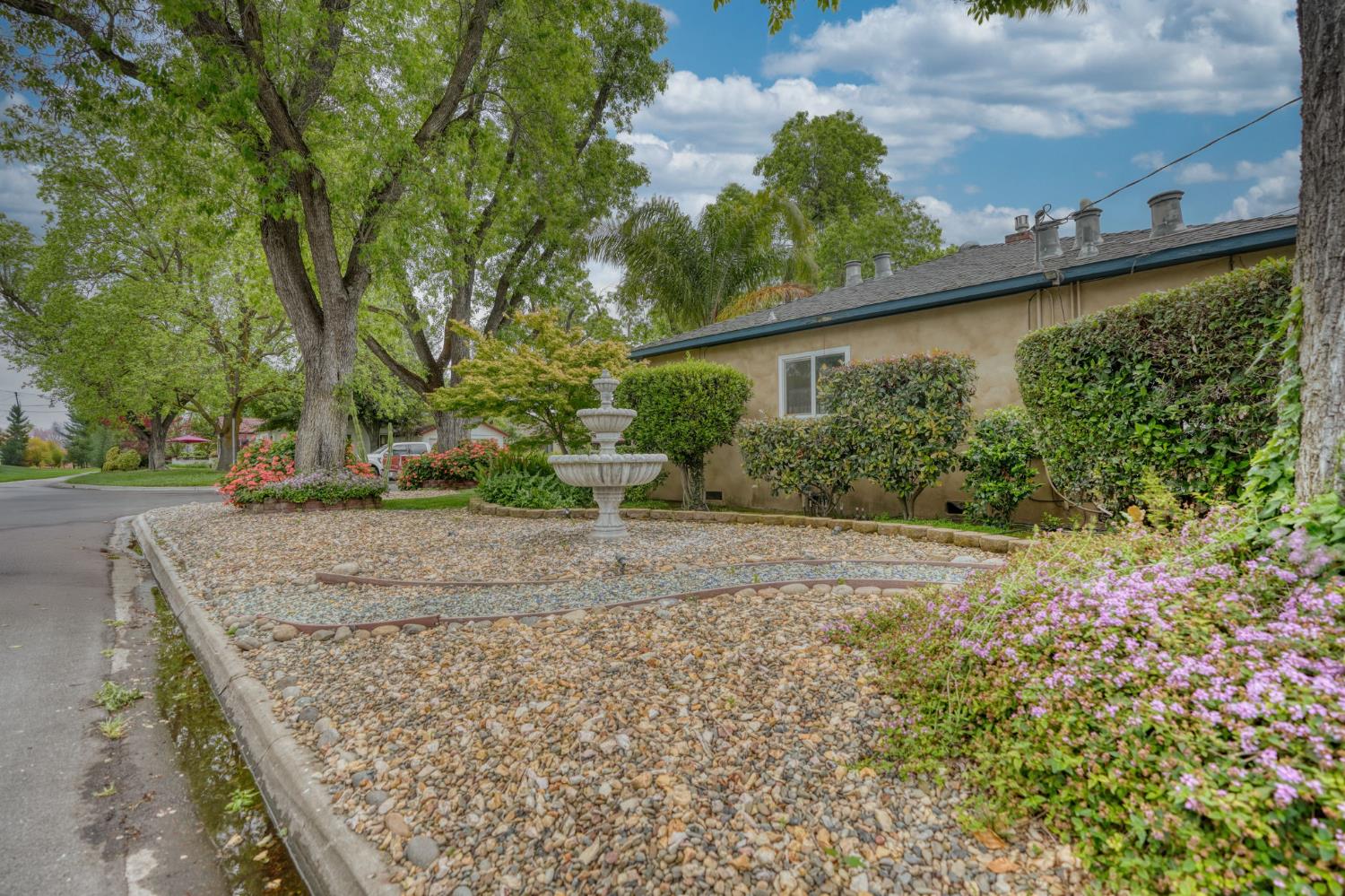 Buena Vista Drive, Modesto, California image 8