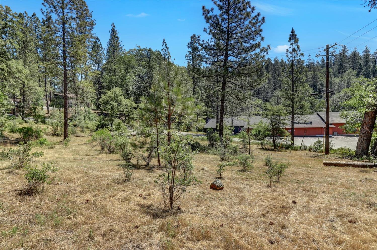 Alta Sierra Drive, Grass Valley, California image 46
