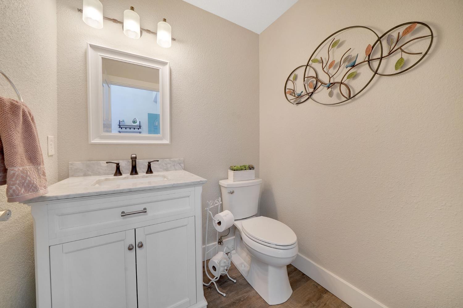 Terrace View Circle, Jackson, California image 32