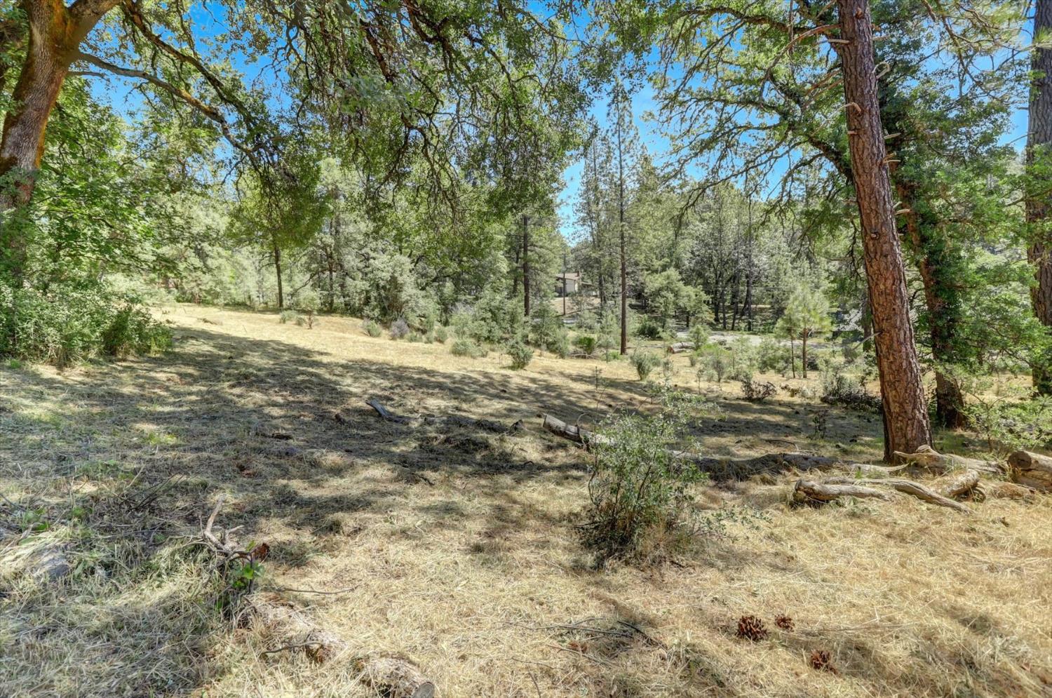 Alta Sierra Drive, Grass Valley, California image 49