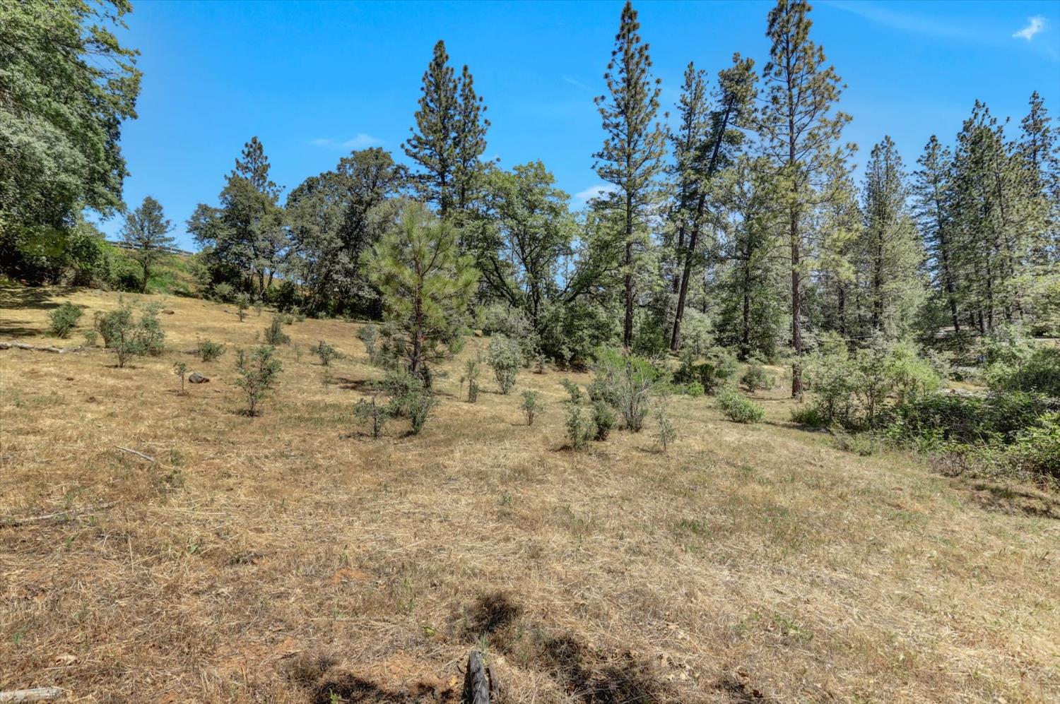 Alta Sierra Drive, Grass Valley, California image 44