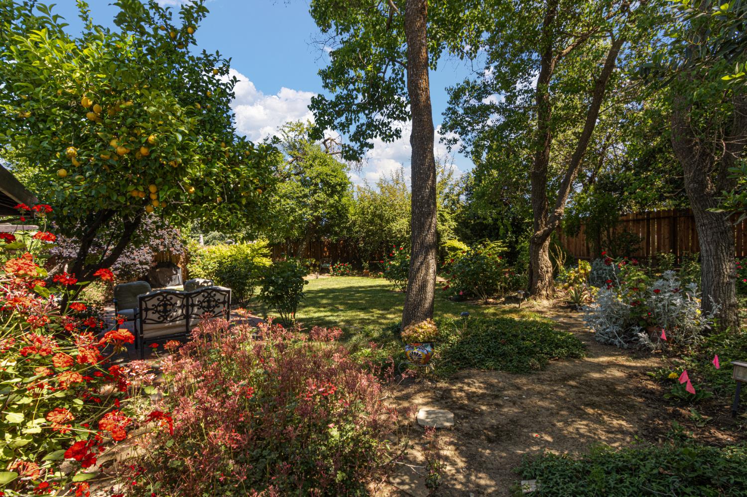 Breton Avenue, Davis, California image 40