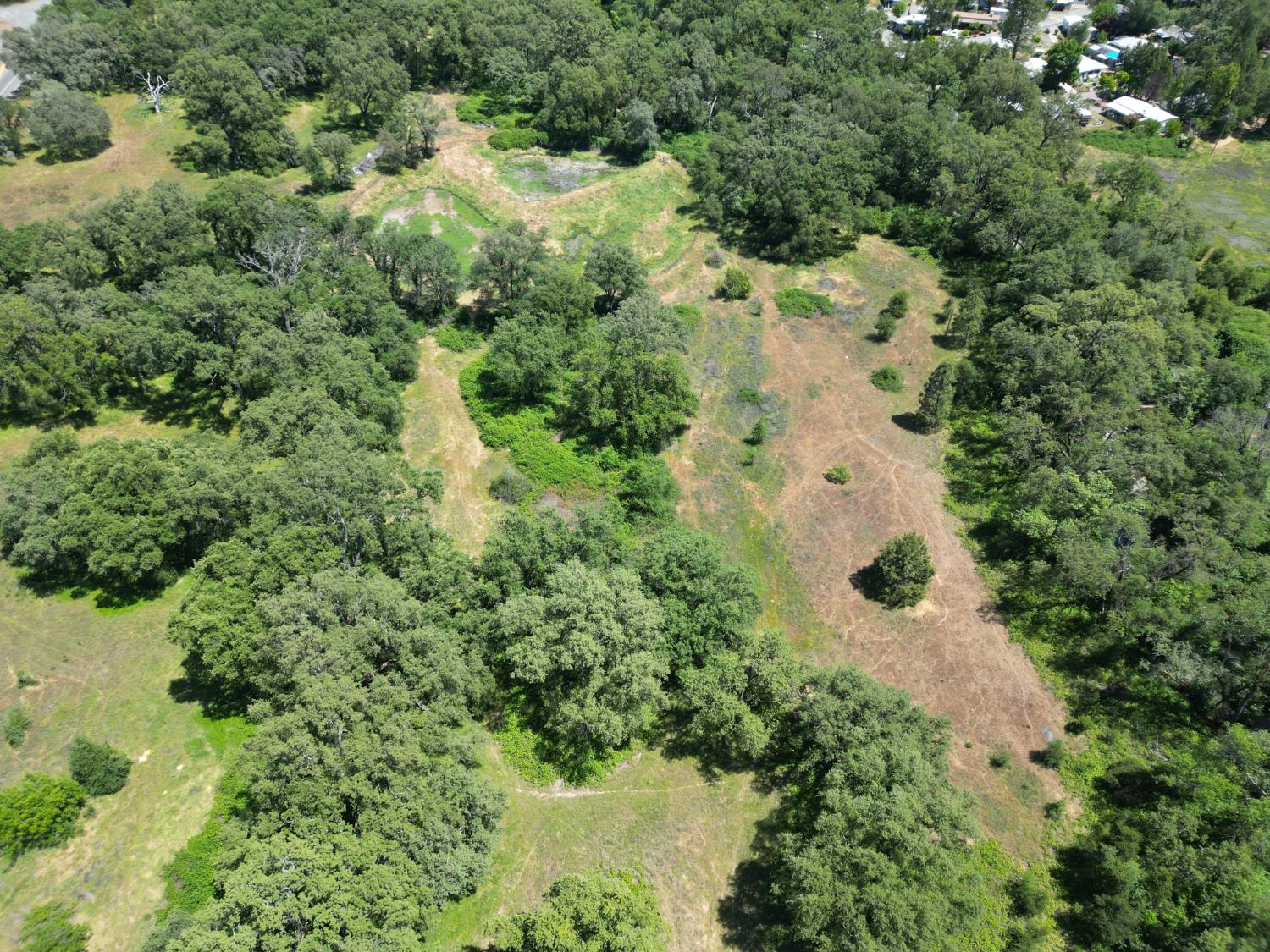 Carrie Ann Lane, Penn Valley, California image 18