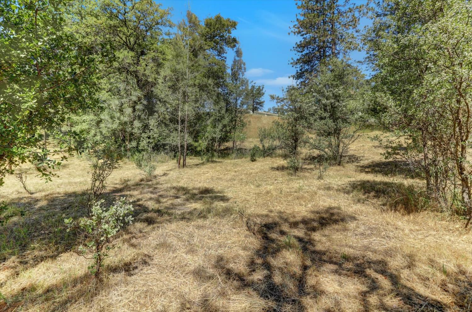 Alta Sierra Drive, Grass Valley, California image 33
