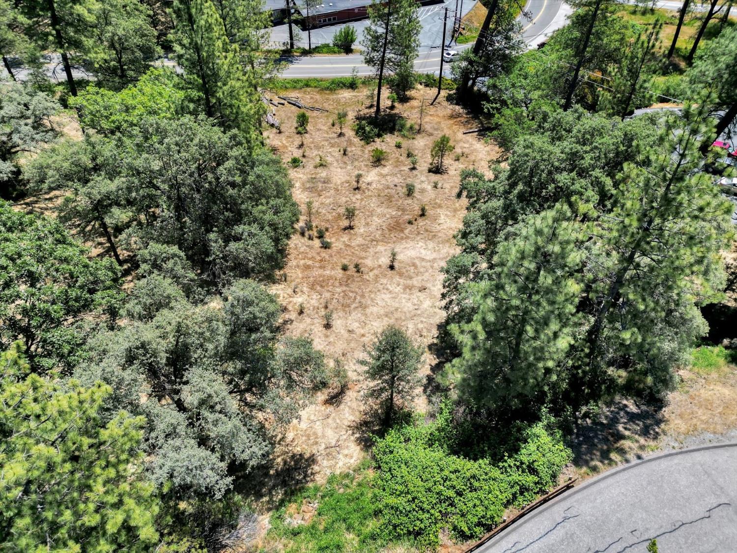 Alta Sierra Drive, Grass Valley, California image 6