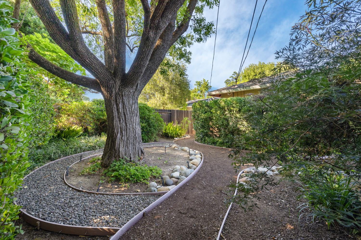 Sycamore Lane, Davis, California image 29