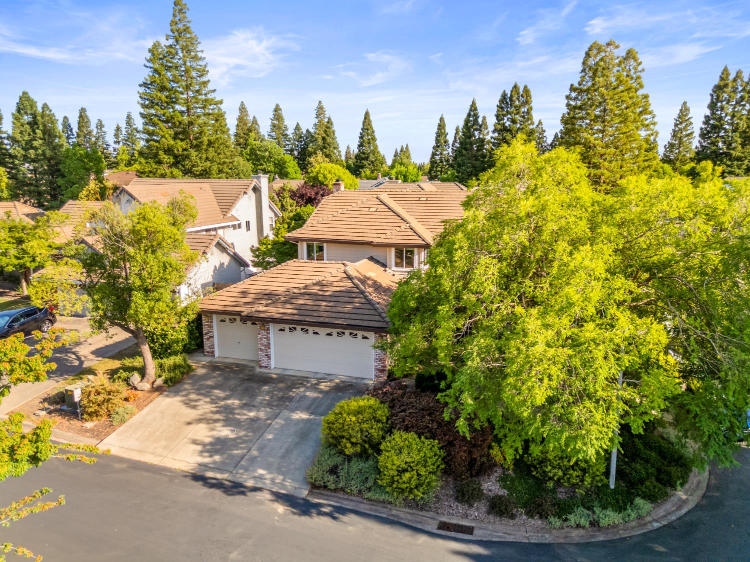 Bristol, Roseville, California image 2
