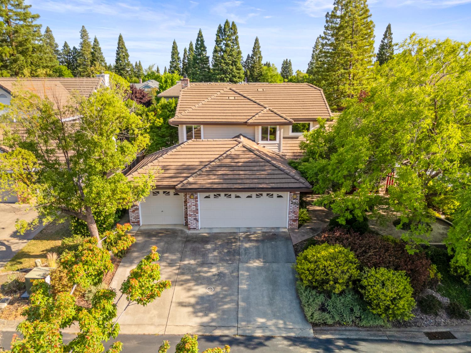 Bristol, Roseville, California image 1
