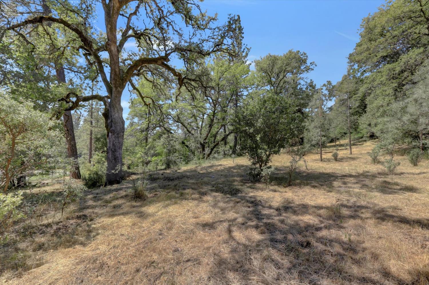 Alta Sierra Drive, Grass Valley, California image 32