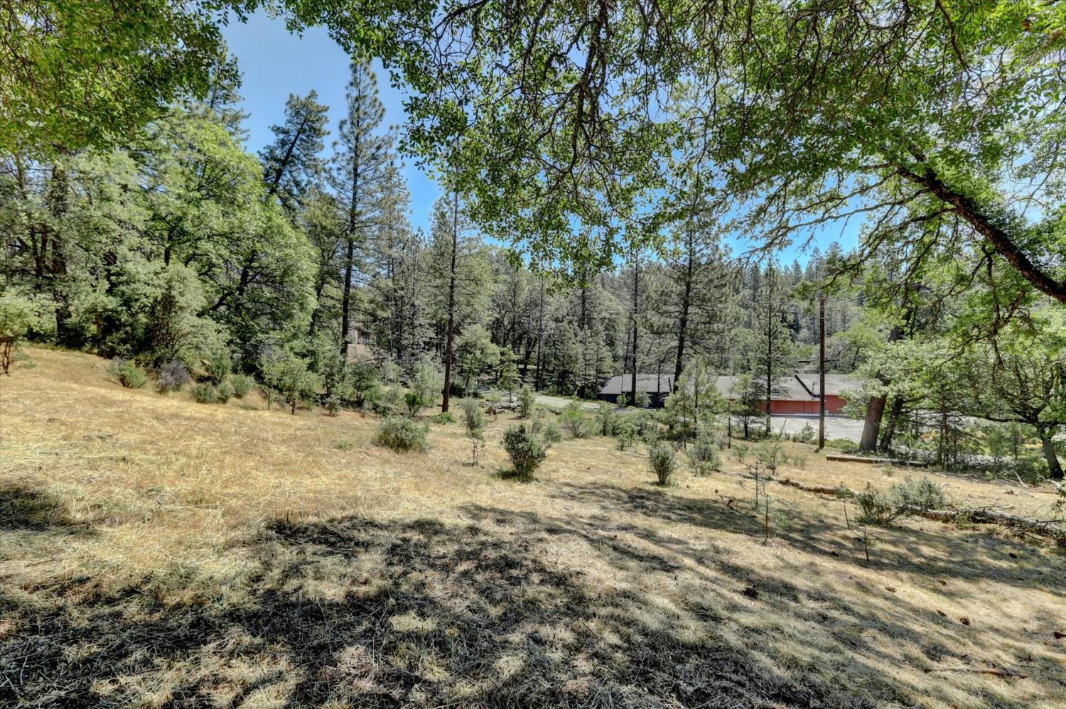Alta Sierra Drive, Grass Valley, California image 15