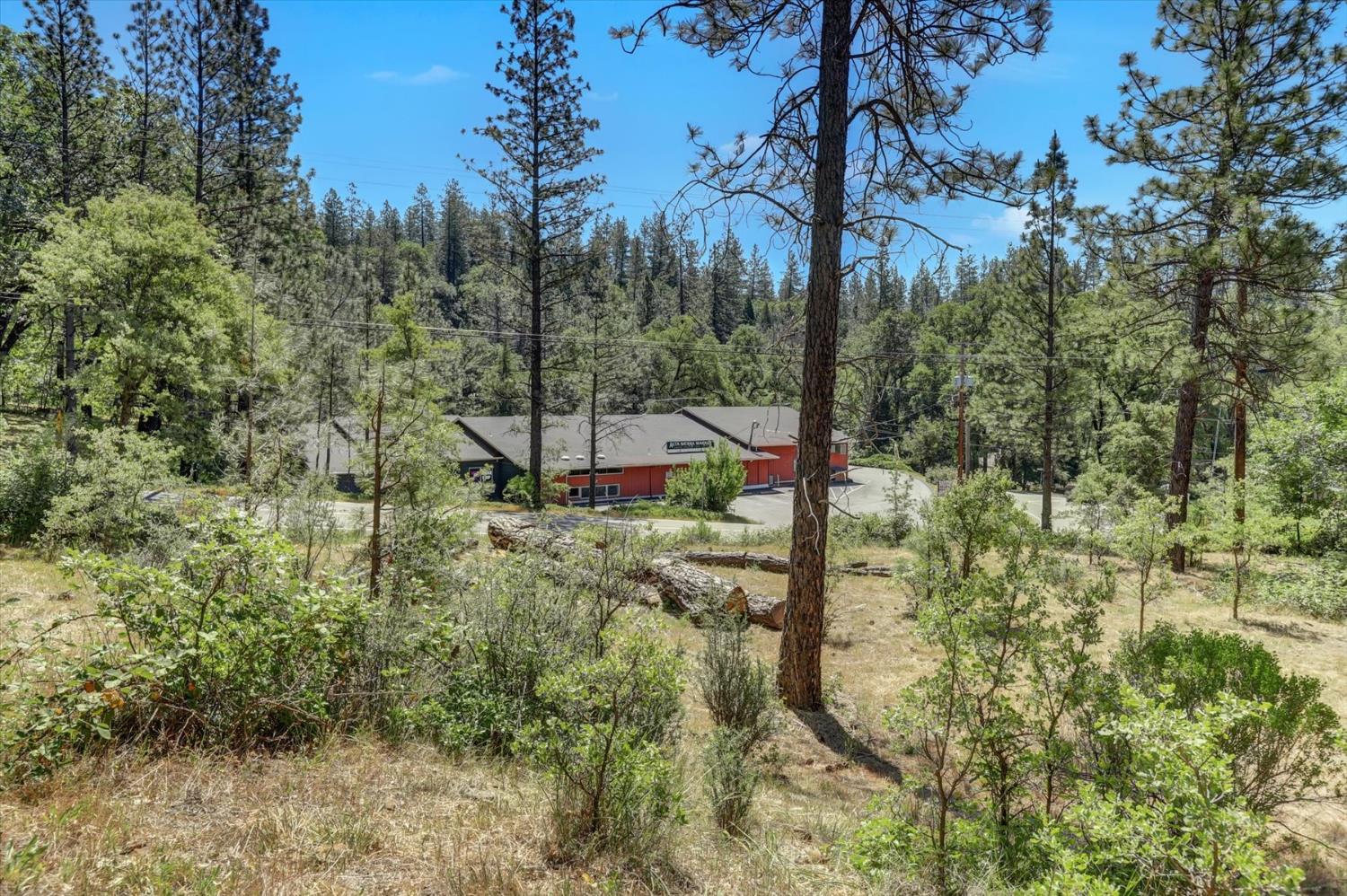 Alta Sierra Drive, Grass Valley, California image 36