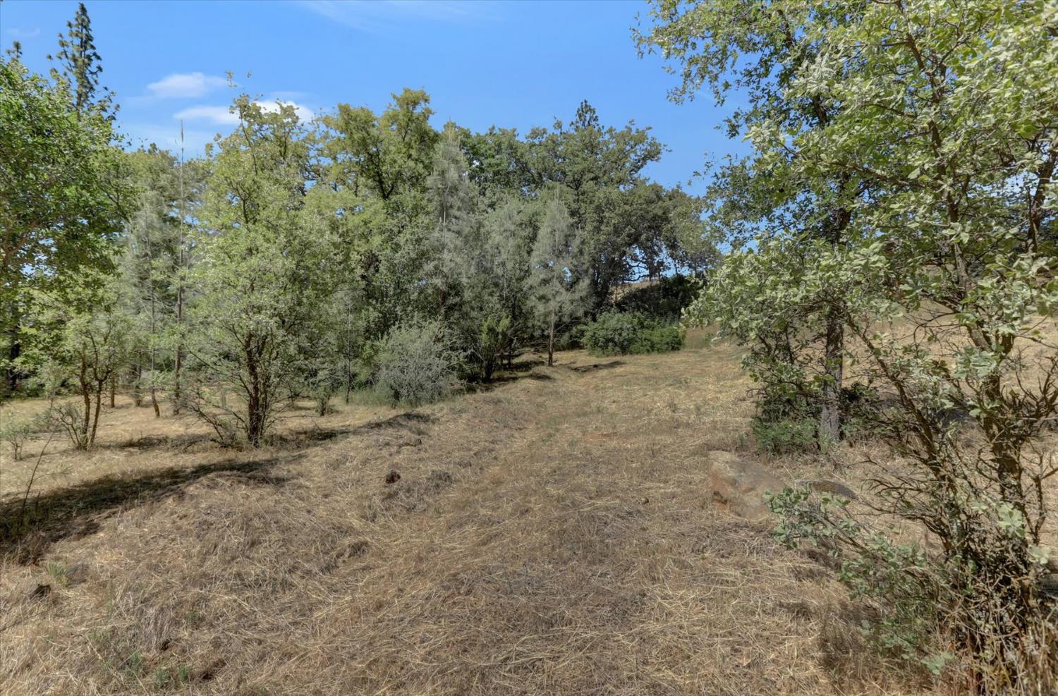 Alta Sierra Drive, Grass Valley, California image 24