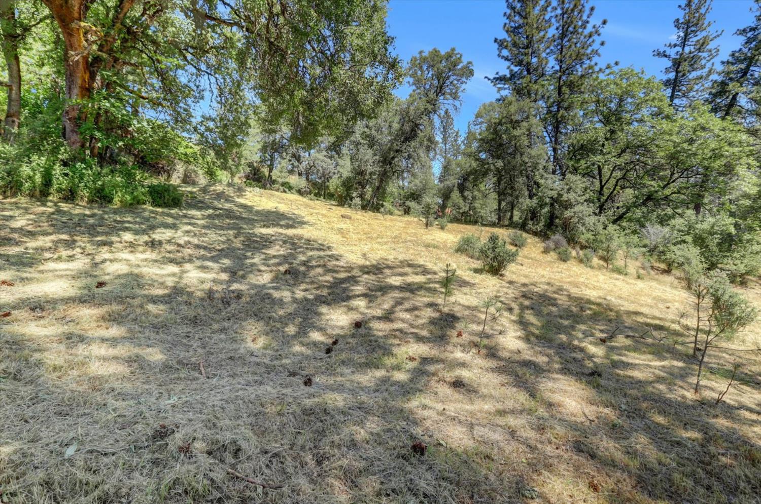 Alta Sierra Drive, Grass Valley, California image 45