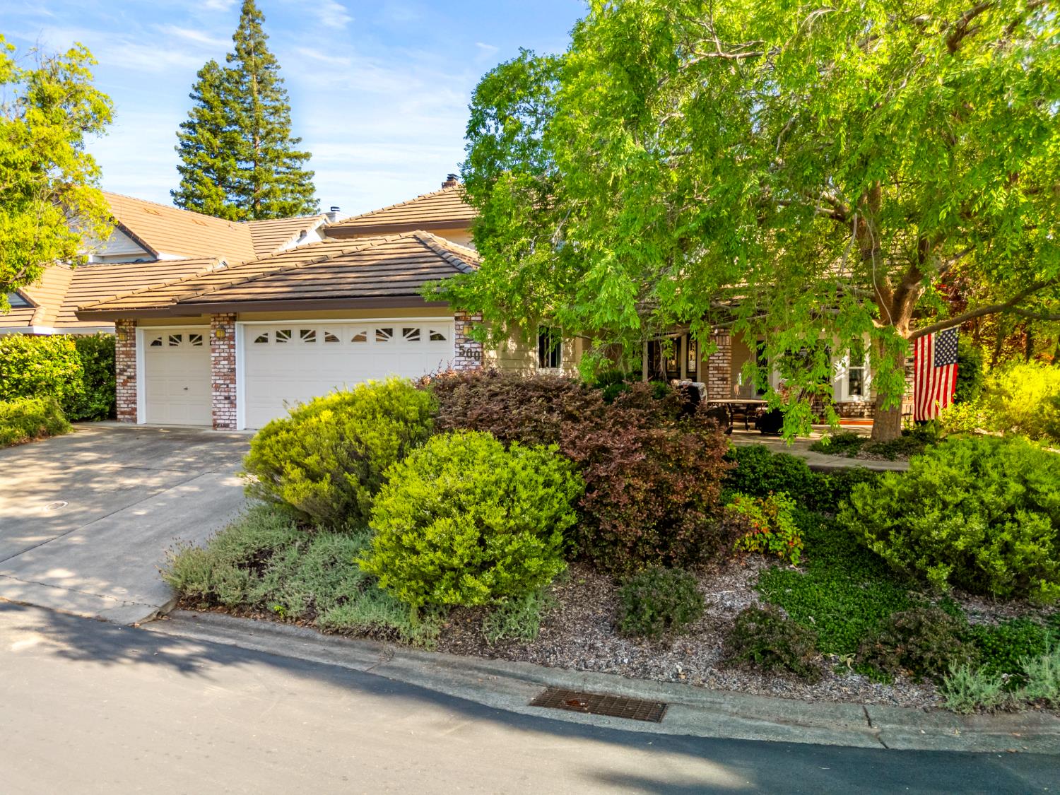 Bristol, Roseville, California image 5
