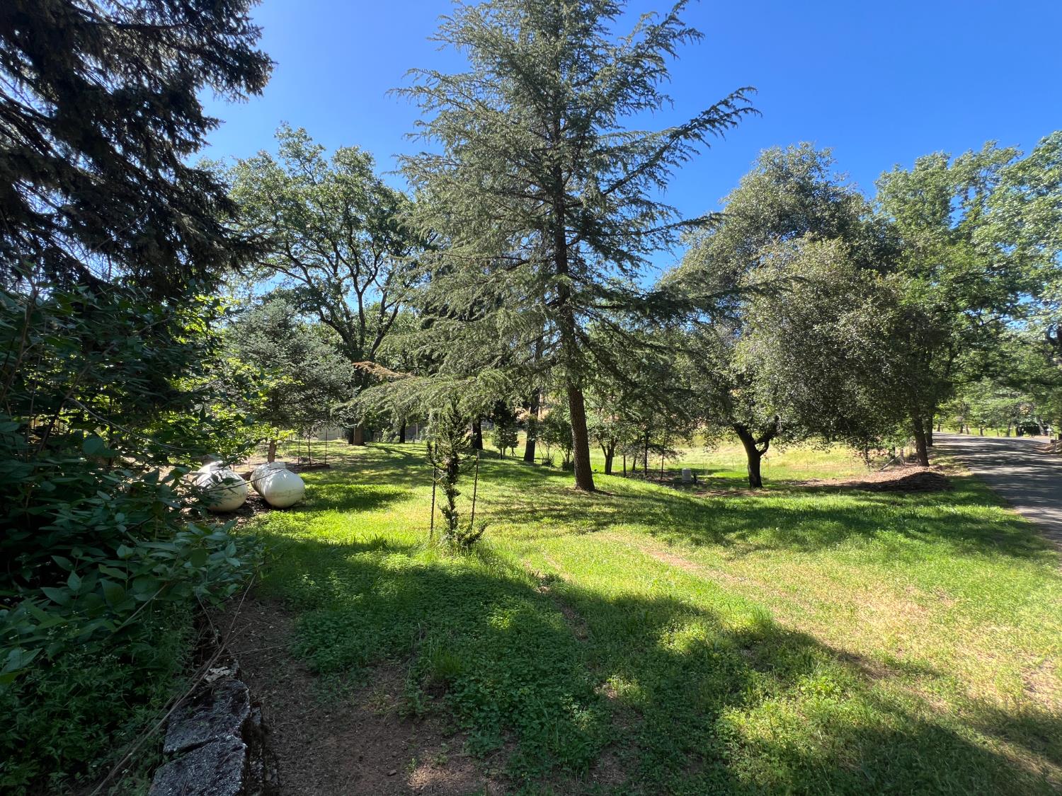 Olympia Lane, Placerville, California image 11