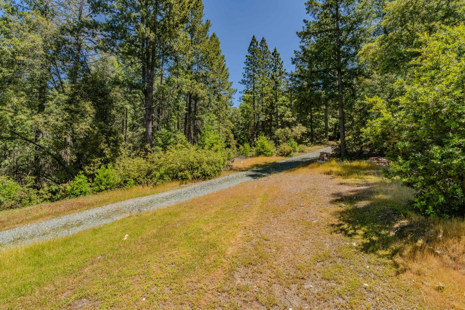 Allan Road, Volcano, California image 5