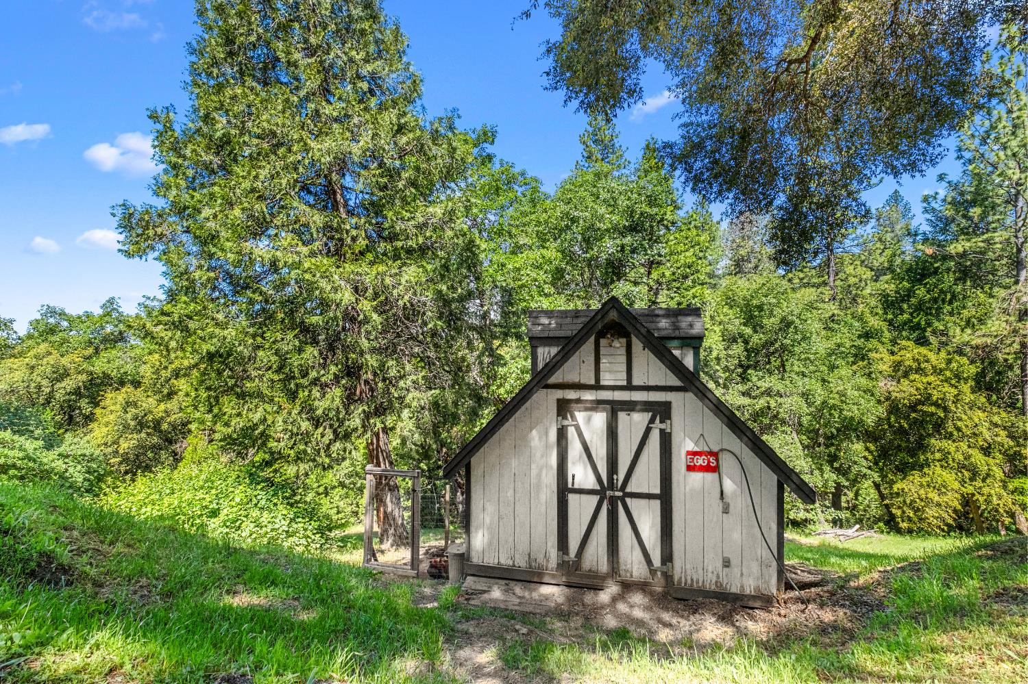 Sly Park Road, Placerville, California image 45