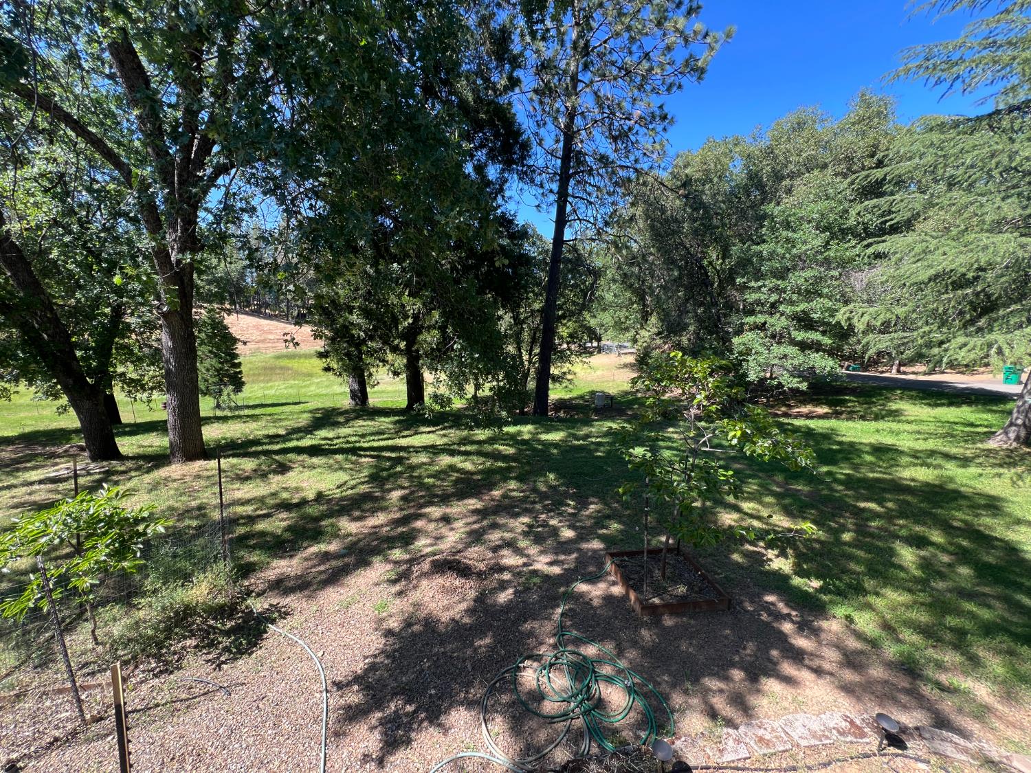 Olympia Lane, Placerville, California image 14