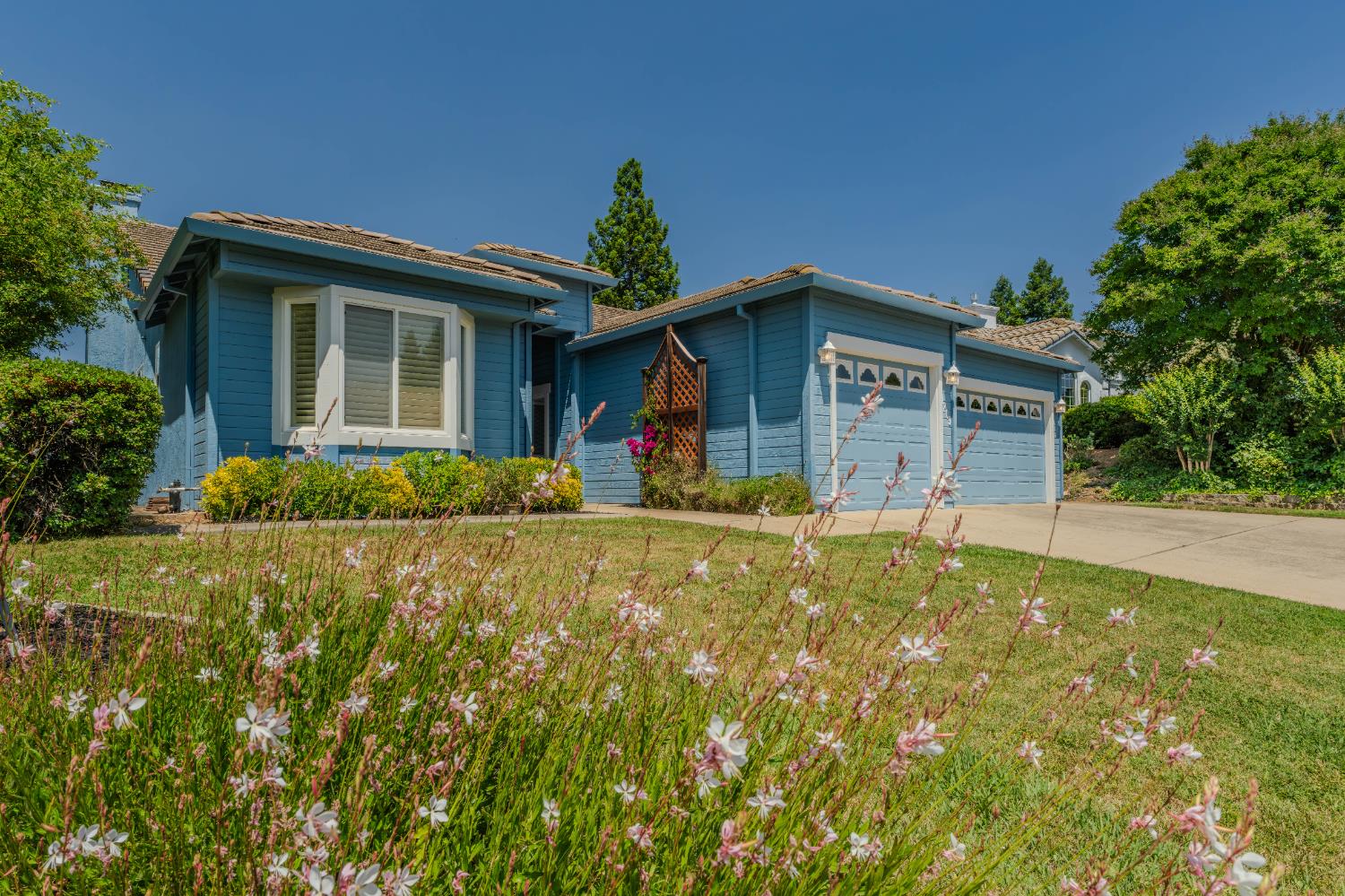Oakview Drive, Ione, California image 1