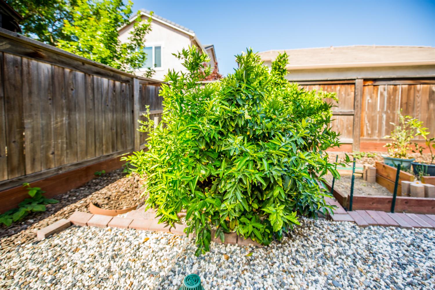 Osborn Drive, Woodland, California image 25